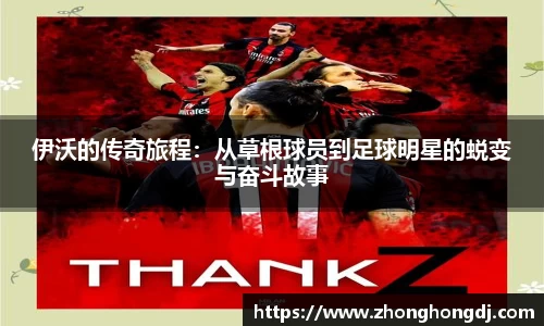 德赢官方